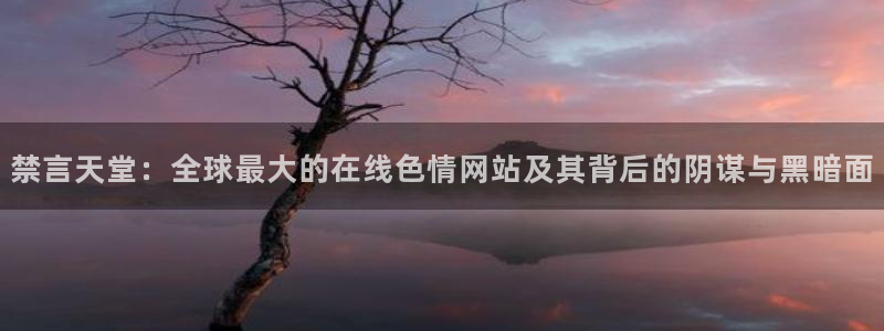 omofun弹幕网：禁言天堂：全球最大的在线色情网站及其背后的阴谋与黑暗面