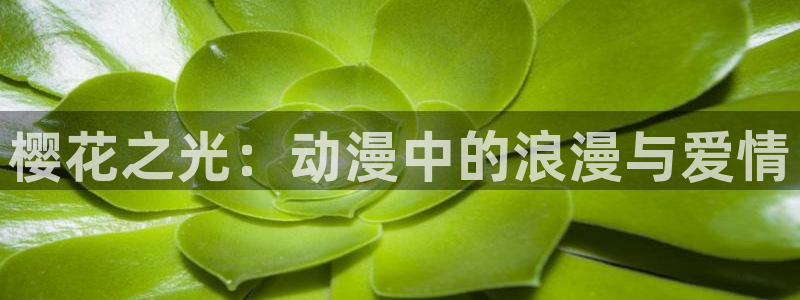 omofun网页版入口分享ios：樱花之光：动漫中的浪漫与爱情
