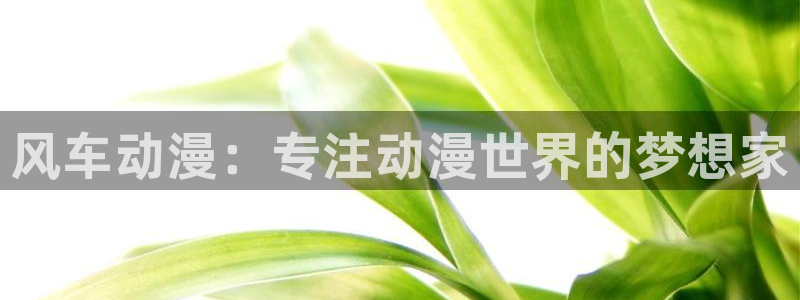 omofun 动漫在线观看：风车动漫：专注动漫世界的梦想家