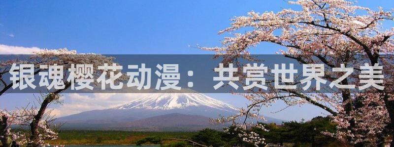 omofun正版官方：银魂樱花动漫：共赏世界之美