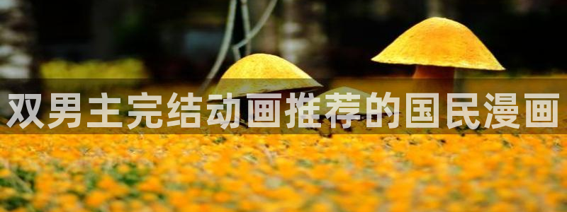 omofun正版官方下载链接