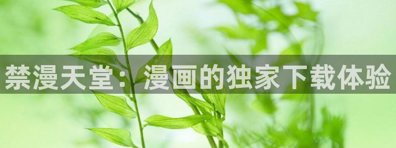 omofun网站：禁漫天堂：漫画的独家下载体验