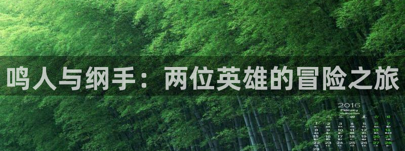 omofunapp官网：鸣人与纲手：两位英雄的冒险之旅