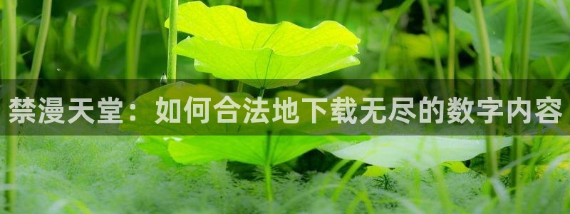 omofun动漫软件下载：禁漫天堂：如何合法地下载无尽的数字内容