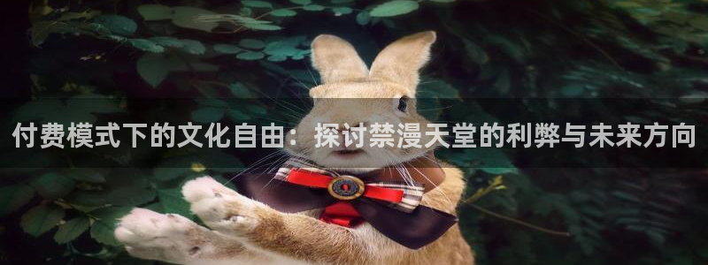 omofun宕卧：付费模式下的文化自由：探讨禁漫天堂的利弊与未来方向