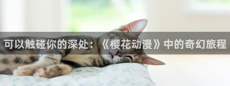omofun动漫app下载最新版：可以触碰你的深处：《樱花动漫》中的奇幻旅程