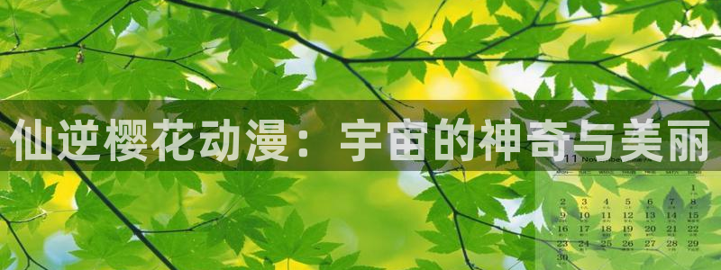 omofun动漫动漫：仙逆樱花动漫：宇宙的神奇与美丽