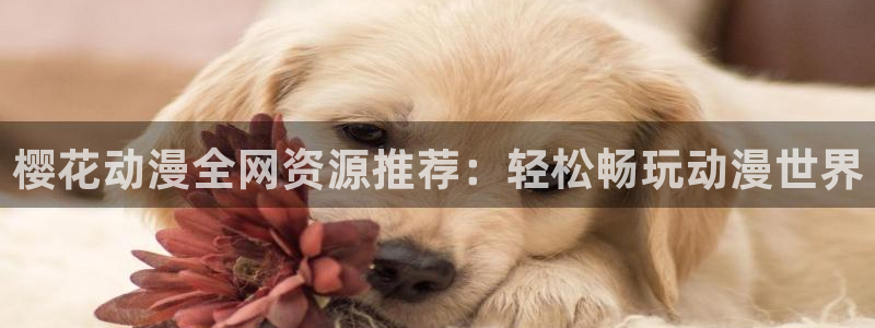 omofun下载安装：樱花动漫全网资源推荐：轻松畅玩动漫世界