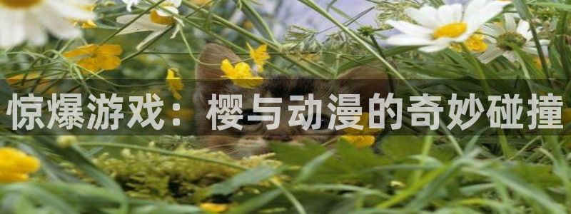 omofun动漫动漫：惊爆游戏：樱与动漫的奇妙碰撞