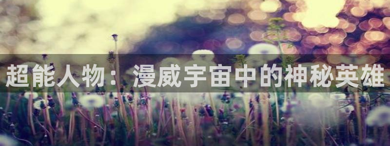 omofun网站网页版：超能人物：漫威宇宙中的神秘英雄