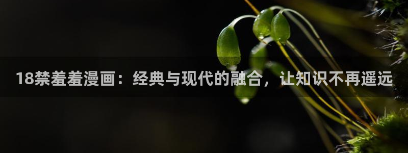 动漫omofun下载：18禁羞羞漫画：经典与现代的融合，让知识不再遥远