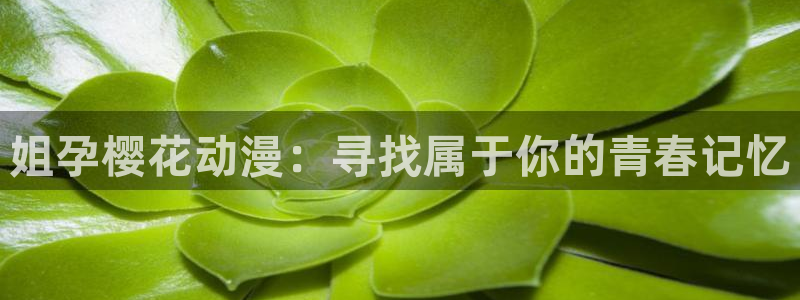 age动漫omofun：姐孕樱花动漫：寻找属于你的青春记忆